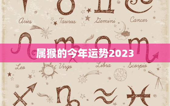 属猴的今年运势2023，属猴的今年运势2020