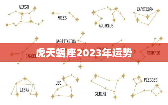 虎天蝎座2023年运势，天蝎座2023年运势详解