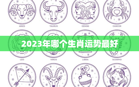 2023年哪个生肖运势最好，2023年哪个生肖运势最好