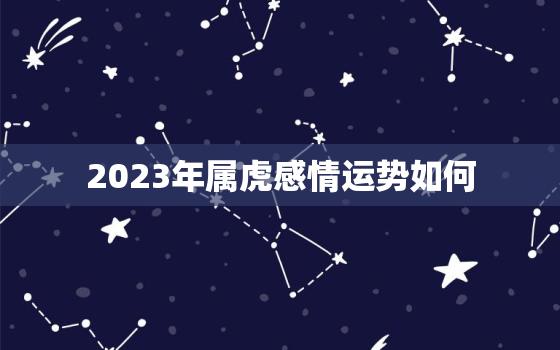 2023年属虎感情运势如何，2023年属虎人的运程