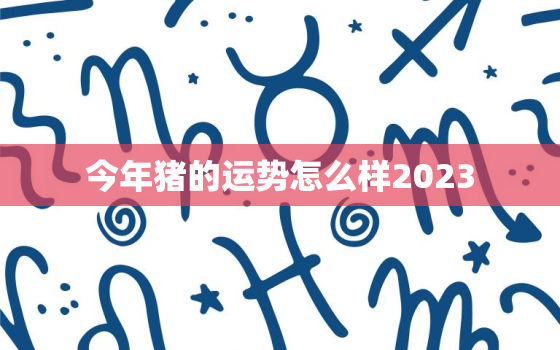 今年猪的运势怎么样2023，今年猪的运势怎么样2021