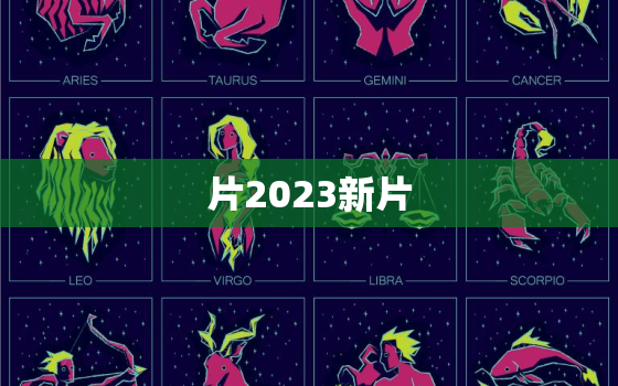 片2023新片，播放今年新片