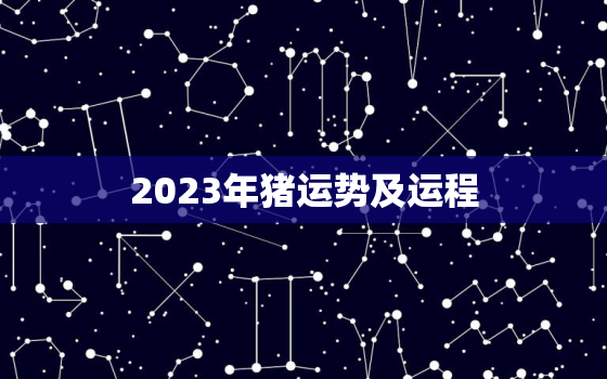 2023年猪运势及运程，2023年猪的运势及运程