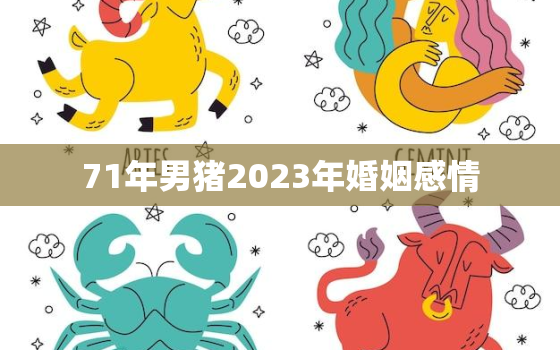 71年男猪2023年婚姻感情，71年猪男2021年婚姻