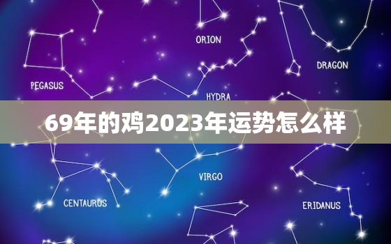 69年的鸡2023年运势怎么样，1969年属鸡2023年