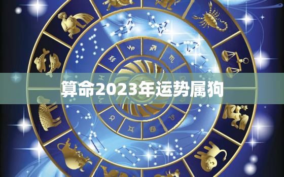 算命2023年运势属狗，2023年属狗的全年运势详解