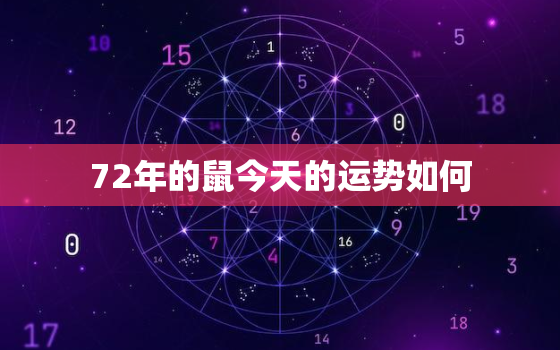 72年的鼠今天的运势如何，72年鼠今日运势及运程