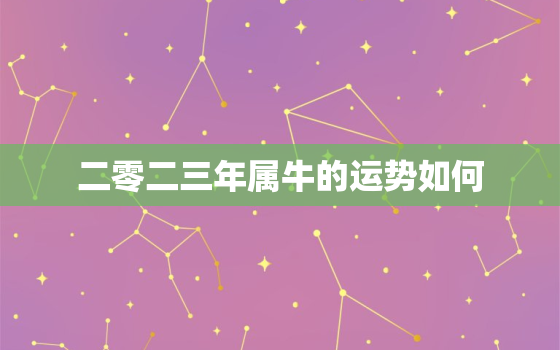 二零二三年属牛的运势如何，20223年属牛人的全年运势