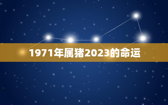 1971年属猪2023的命运，1973年属牛的2023年的命运如何