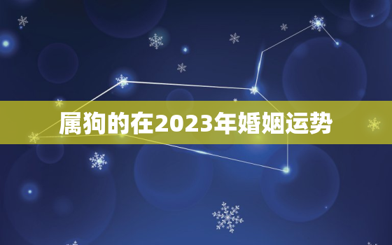 属狗的在2023年婚姻运势，属狗人在2023年的运势