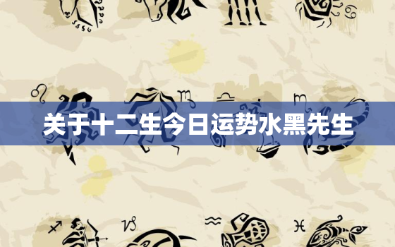 关于十二生今日运势水黑先生，十二生肖每日运势查询水黑
