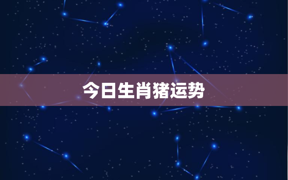 今日生肖猪运势，今日生肖猪运势6月5号