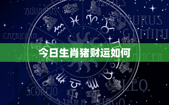 今日生肖猪财运如何，生肖猪今日运势神巴巴