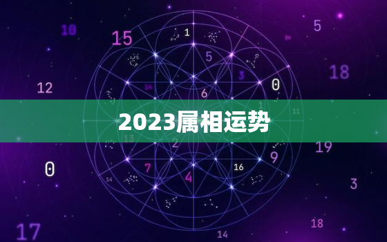 2023属相运势，2023年运势及运程