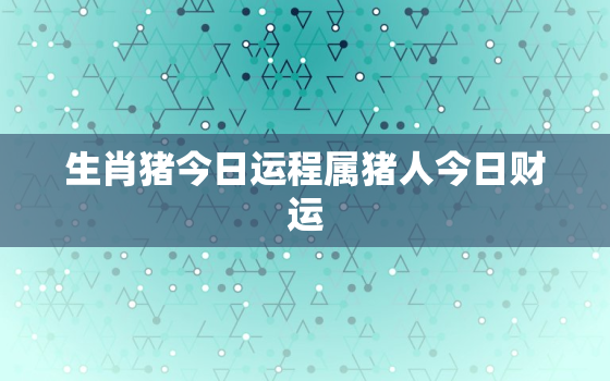 生肖猪今日运程属猪人今日财运，属猪今日运势每日运程