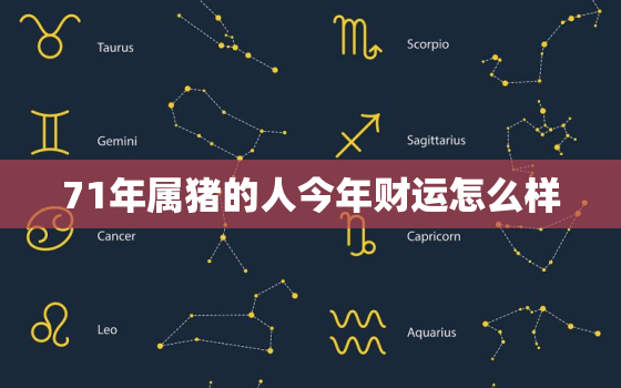 71年属猪的人今年财运怎么样，71年属猪的人今年财运怎么样啊