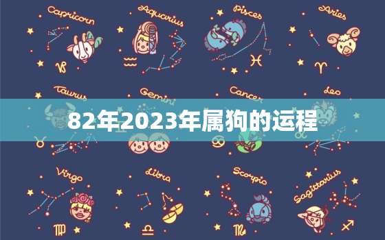 82年2023年属狗的运程，82年狗2023年运势