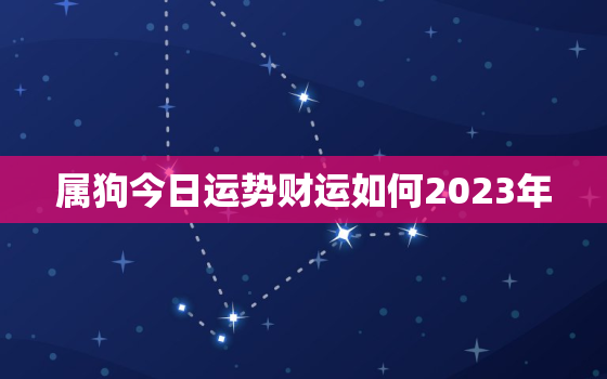 属狗今日运势财运如何2023年，2021年属狗人今日运势