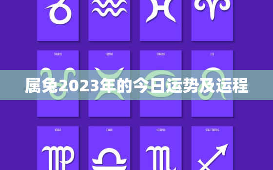 属兔2023年的今日运势及运程，属兔今年运势2023年运势