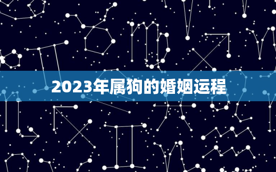 2023年属狗的婚姻运程，属狗2023年感情运势