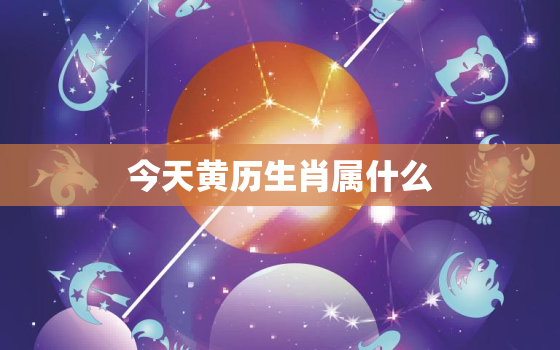 今天黄历生肖属什么，今天黄历属相是什么