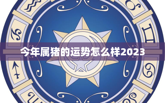 今年属猪的运势怎么样2023，今年属猪的运势怎么样2022 陈