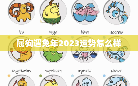 属狗遇兔年2023运势怎么样，狗遇兔年2023年怎么样