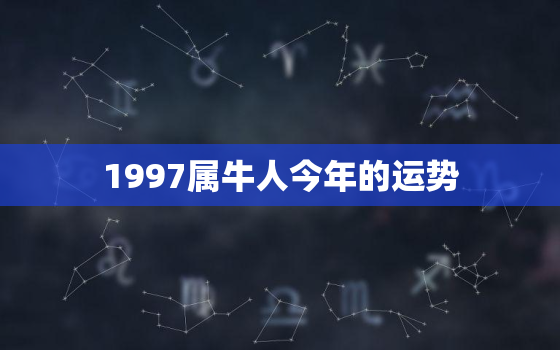 1997属牛人今年的运势，1997属牛今年运势如何