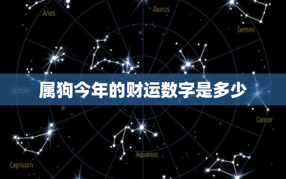 属狗今年的财运数字是多少，搜索属狗的今年财运怎么样