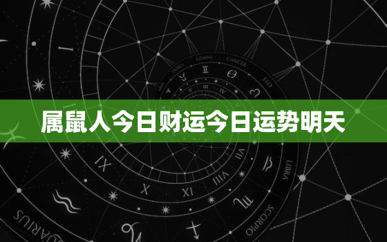 属鼠人今日财运今日运势明天，属鼠人今日运势早知道