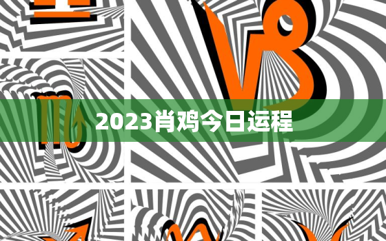 2023肖鸡今日运程，属鸡人2023年全年运势