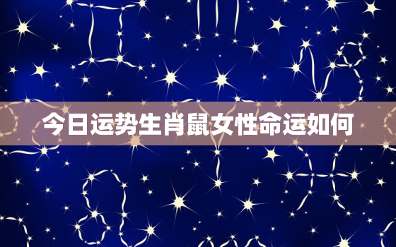 今日运势生肖鼠女性命运如何，属鼠今日运势查询女