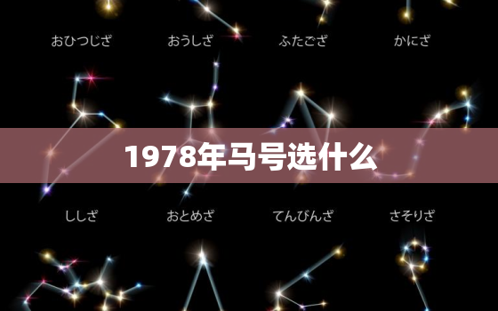 1978年马号选什么，1978年属马吉祥号码