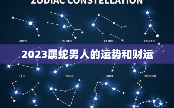 2023属蛇男人的运势和财运，2023年属蛇人运势怎么样呢