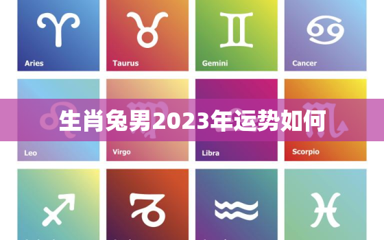 生肖兔男2023年运势如何，属兔男2023