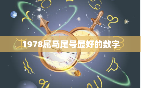 1978属马尾号最好的数字，1978属马尾号最好的数字是什么