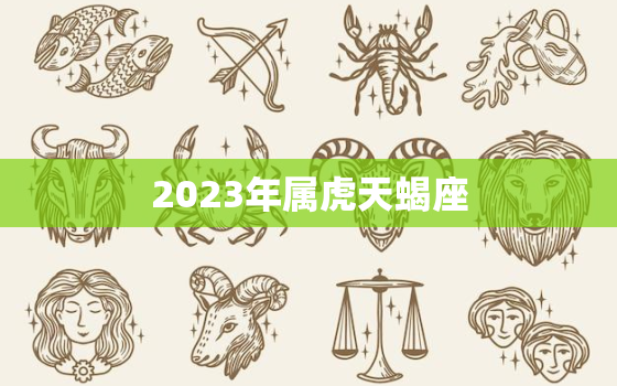 2023年属虎天蝎座，2023年天蝎座女生全年运势