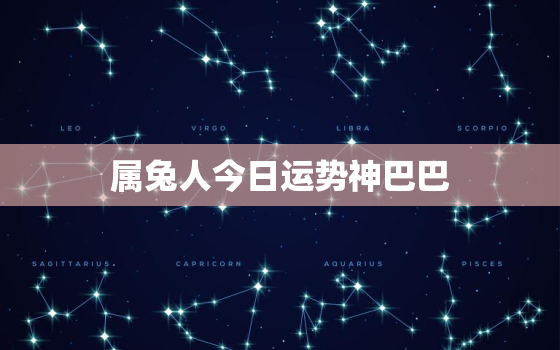 属兔人今日运势神巴巴，属兔人今日运势财运如何