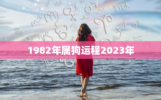 1982年属狗运程2023年，1982年属狗2023年的运势