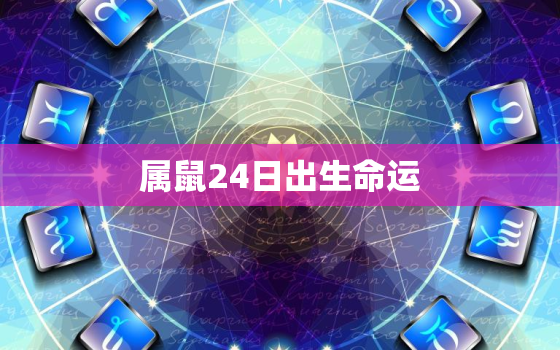 属鼠24日出生命运，属鼠阴历24日出生好不好