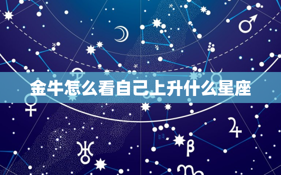 金牛怎么看自己上升什么星座，上升星座免费查询