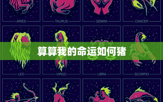 算算我的命运如何猪，算一算我的命运和八字