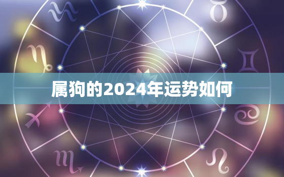 属狗的2024年运势如何，2006年属狗的2024年运势如何