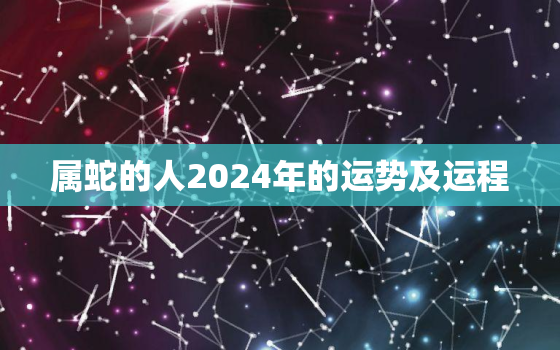 属蛇的人2024年的运势及运程，属蛇的人2024年的运势及运程详解