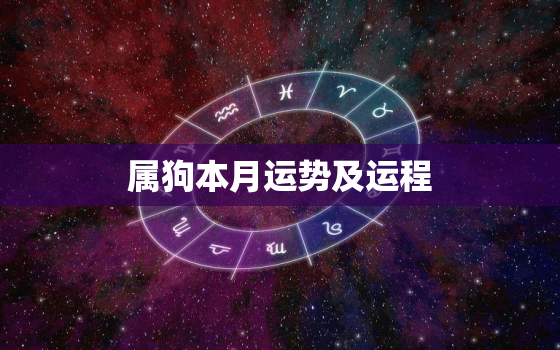 属狗本月运势及运程，属狗的今年每月运势