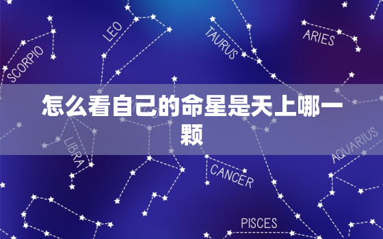 怎么看自己的命星是天上哪一颗，怎么知道自己的命宫星座