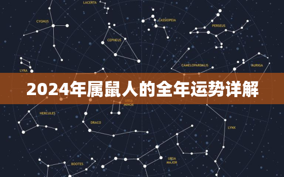 2024年属鼠人的全年运势详解，2024年属鼠人全年每月运程