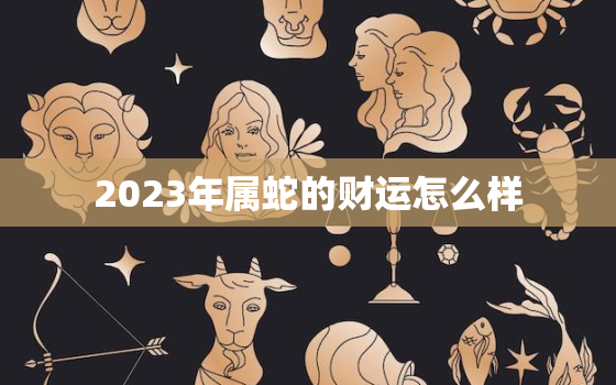 2023年属蛇的财运怎么样，2023年属蛇的人的全年运势