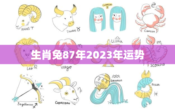 生肖兔87年2023年运势，87年属兔人2023年运势及财运