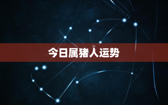 今日属猪人运势，今日属猪运势查询财运